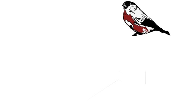 rigens-logo-white